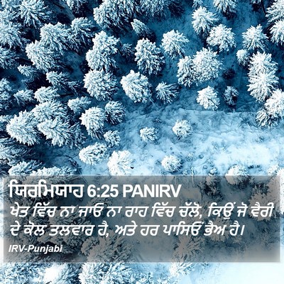 ਯਿਰਮਿਯਾਹ 6:25 PANIRV Bible Verse Image