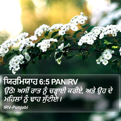 ਯਿਰਮਿਯਾਹ 6:5 PANIRV Bible Verse Image