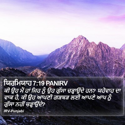 ਯਿਰਮਿਯਾਹ 7:19 PANIRV Bible Verse Image
