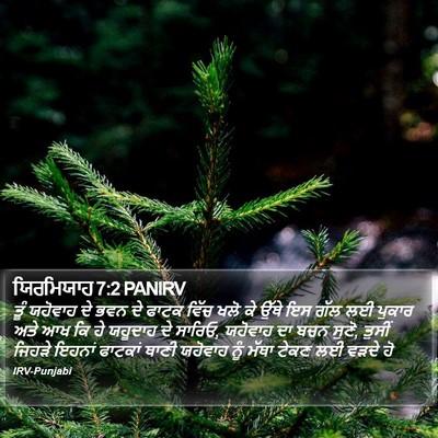ਯਿਰਮਿਯਾਹ 7:2 PANIRV Bible Verse Image