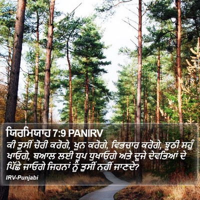 ਯਿਰਮਿਯਾਹ 7:9 PANIRV Bible Verse Image