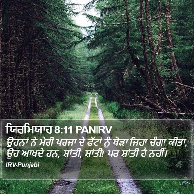 ਯਿਰਮਿਯਾਹ 8:11 PANIRV Bible Verse Image