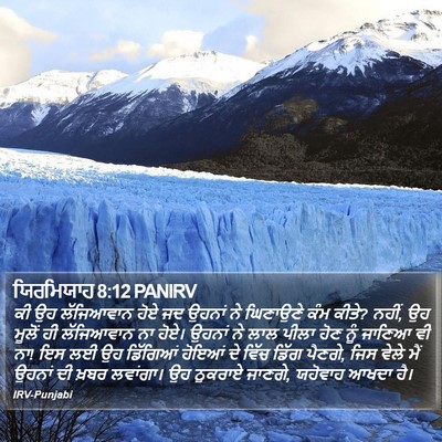 ਯਿਰਮਿਯਾਹ 8:12 PANIRV Bible Verse Image