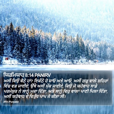 ਯਿਰਮਿਯਾਹ 8:14 PANIRV Bible Verse Image