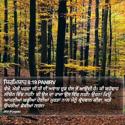 ਯਿਰਮਿਯਾਹ 8:19 PANIRV Bible Verse Image
