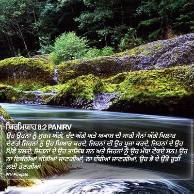 ਯਿਰਮਿਯਾਹ 8:2 PANIRV Bible Verse Image