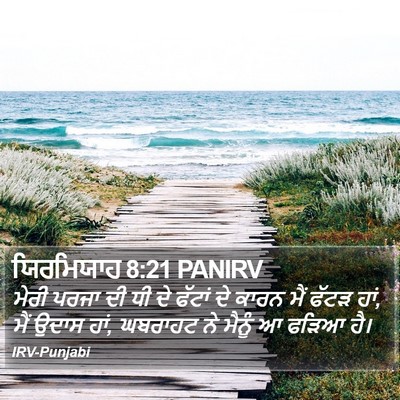 ਯਿਰਮਿਯਾਹ 8:21 PANIRV Bible Verse Image