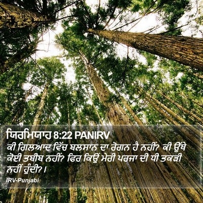 ਯਿਰਮਿਯਾਹ 8:22 PANIRV Bible Verse Image