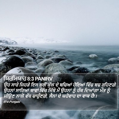 ਯਿਰਮਿਯਾਹ 8:3 PANIRV Bible Verse Image