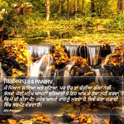 ਯਿਰਮਿਯਾਹ 8:6 PANIRV Bible Verse Image
