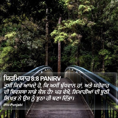 ਯਿਰਮਿਯਾਹ 8:8 PANIRV Bible Verse Image