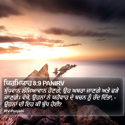 ਯਿਰਮਿਯਾਹ 8:9 PANIRV Bible Verse Image