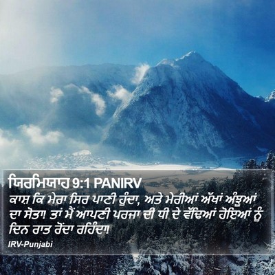 ਯਿਰਮਿਯਾਹ 9:1 PANIRV Bible Verse Image