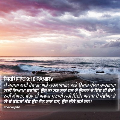 ਯਿਰਮਿਯਾਹ 9:10 PANIRV Bible Verse Image