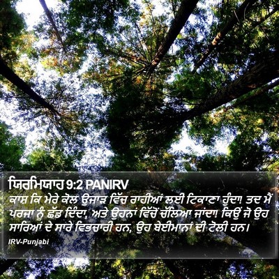 ਯਿਰਮਿਯਾਹ 9:2 PANIRV Bible Verse Image