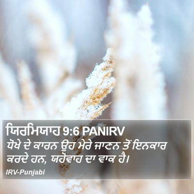 ਯਿਰਮਿਯਾਹ 9:6 PANIRV Bible Verse Image
