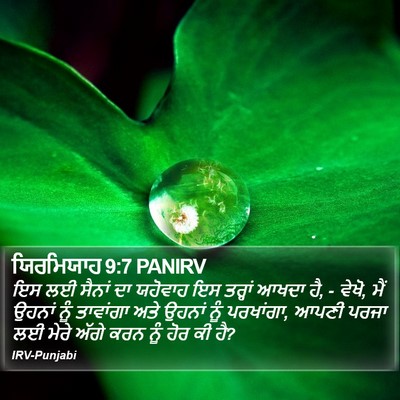 ਯਿਰਮਿਯਾਹ 9:7 PANIRV Bible Verse Image