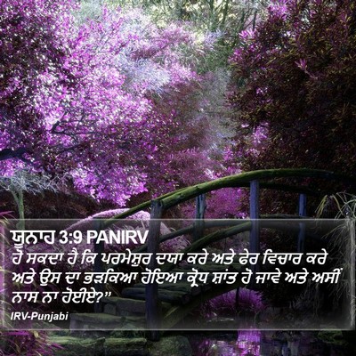 ਯੂਨਾਹ 3:9 PANIRV Bible Verse Image