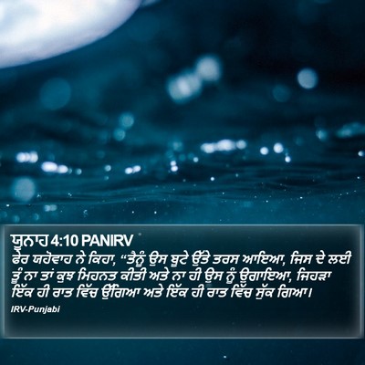 ਯੂਨਾਹ 4:10 PANIRV Bible Verse Image