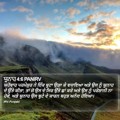 ਯੂਨਾਹ 4:6 PANIRV Bible Verse Image