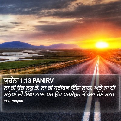 ਯੂਹੰਨਾ 1:13 PANIRV Bible Verse Image