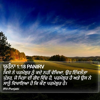 ਯੂਹੰਨਾ 1:18 PANIRV Bible Verse Image
