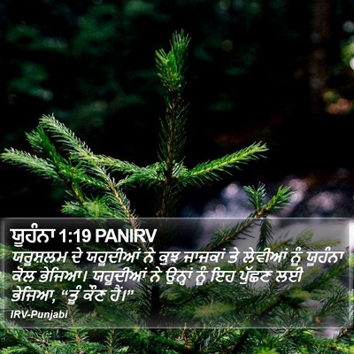 ਯੂਹੰਨਾ 1:19 PANIRV Bible Verse Image