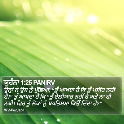 ਯੂਹੰਨਾ 1:25 PANIRV Bible Verse Image