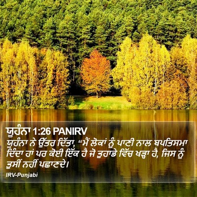 ਯੂਹੰਨਾ 1:26 PANIRV Bible Verse Image