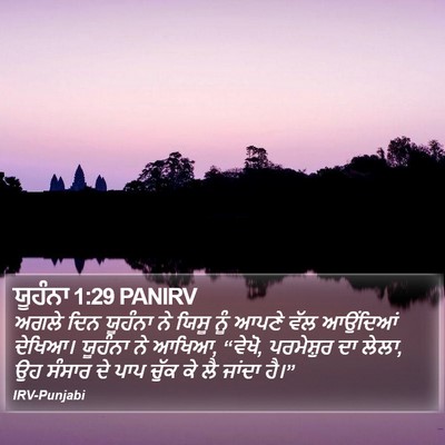 ਯੂਹੰਨਾ 1:29 PANIRV Bible Verse Image