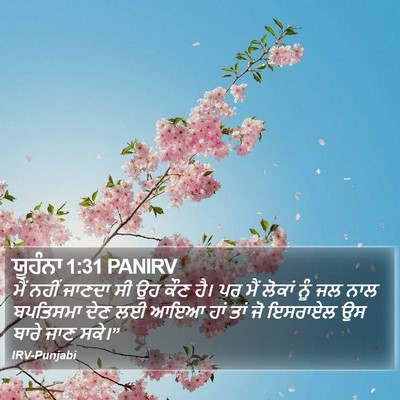 ਯੂਹੰਨਾ 1:31 PANIRV Bible Verse Image