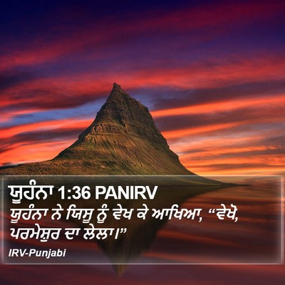 ਯੂਹੰਨਾ 1:36 PANIRV Bible Verse Image
