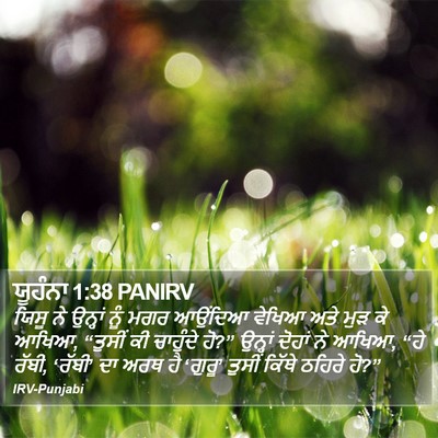 ਯੂਹੰਨਾ 1:38 PANIRV Bible Verse Image