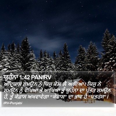 ਯੂਹੰਨਾ 1:42 PANIRV Bible Verse Image