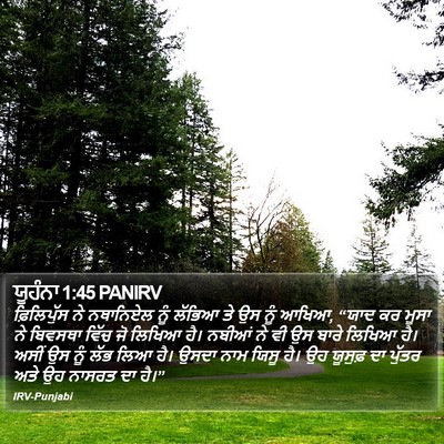 ਯੂਹੰਨਾ 1:45 PANIRV Bible Verse Image