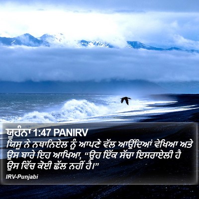 ਯੂਹੰਨਾ 1:47 PANIRV Bible Verse Image