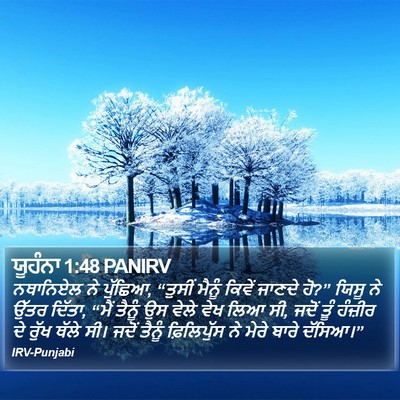 ਯੂਹੰਨਾ 1:48 PANIRV Bible Verse Image