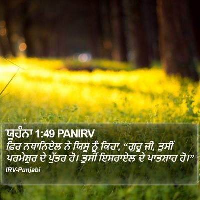 ਯੂਹੰਨਾ 1:49 PANIRV Bible Verse Image