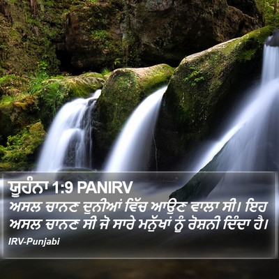 ਯੂਹੰਨਾ 1:9 PANIRV Bible Verse Image