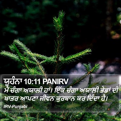 ਯੂਹੰਨਾ 10:11 PANIRV Bible Verse Image