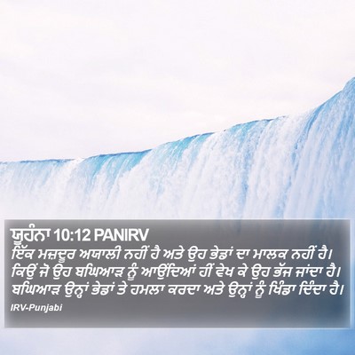 ਯੂਹੰਨਾ 10:12 PANIRV Bible Verse Image