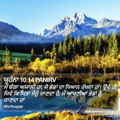 ਯੂਹੰਨਾ 10:14 PANIRV Bible Verse Image
