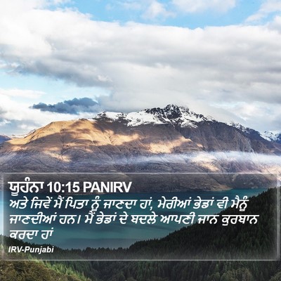 ਯੂਹੰਨਾ 10:15 PANIRV Bible Verse Image
