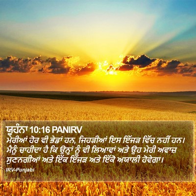 ਯੂਹੰਨਾ 10:16 PANIRV Bible Verse Image