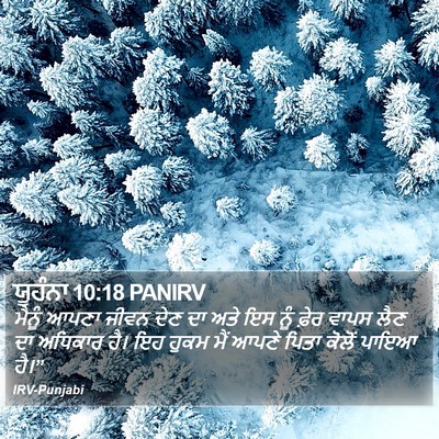 ਯੂਹੰਨਾ 10:18 PANIRV Bible Verse Image