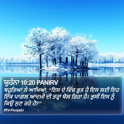 ਯੂਹੰਨਾ 10:20 PANIRV Bible Verse Image