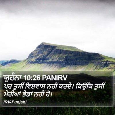 ਯੂਹੰਨਾ 10:26 PANIRV Bible Verse Image