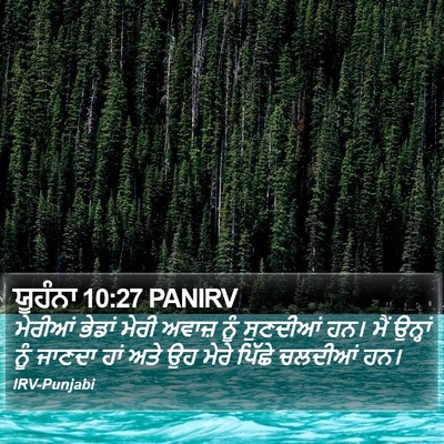 ਯੂਹੰਨਾ 10:27 PANIRV Bible Verse Image