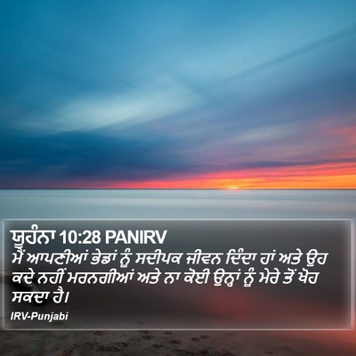 ਯੂਹੰਨਾ 10:28 PANIRV Bible Verse Image