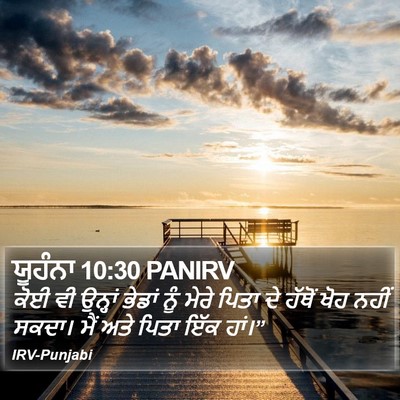 ਯੂਹੰਨਾ 10:30 PANIRV Bible Verse Image